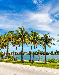 Miami Gardens